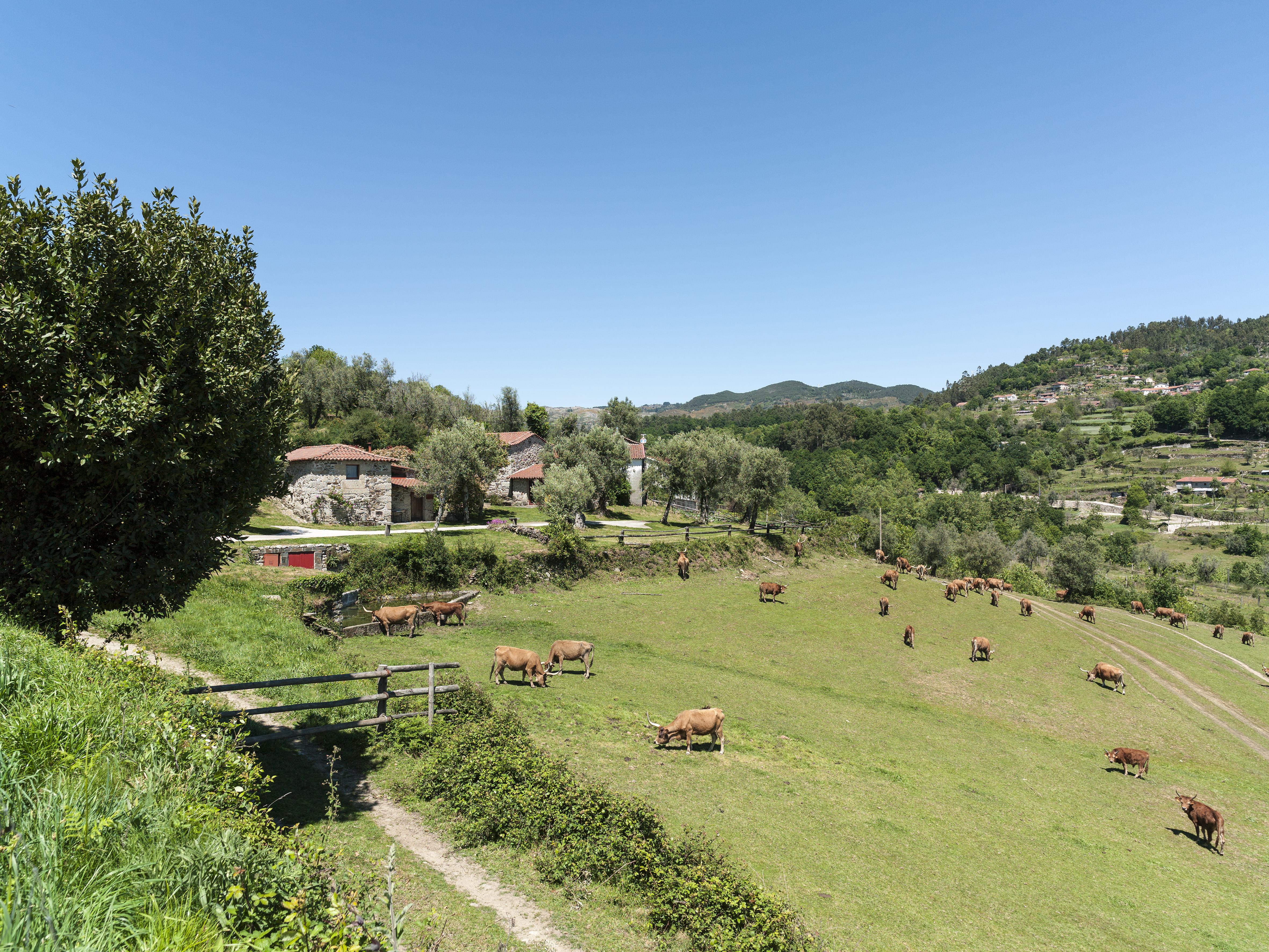 Vila Quinta Do Rapozinho Cabeceiras de Basto Exteriér fotografie